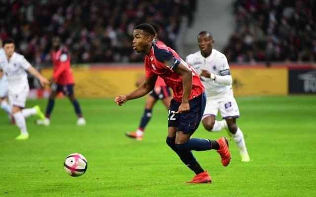 广泛覆盖性 广泛覆盖性