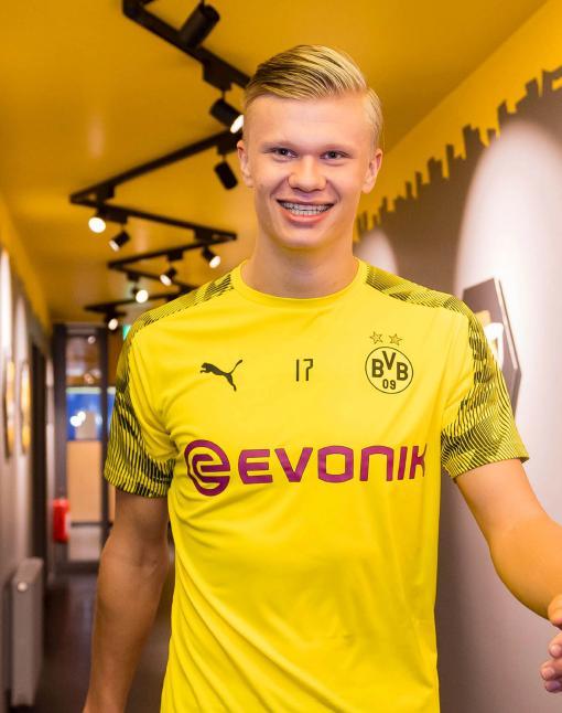 显微镜下 显微镜下